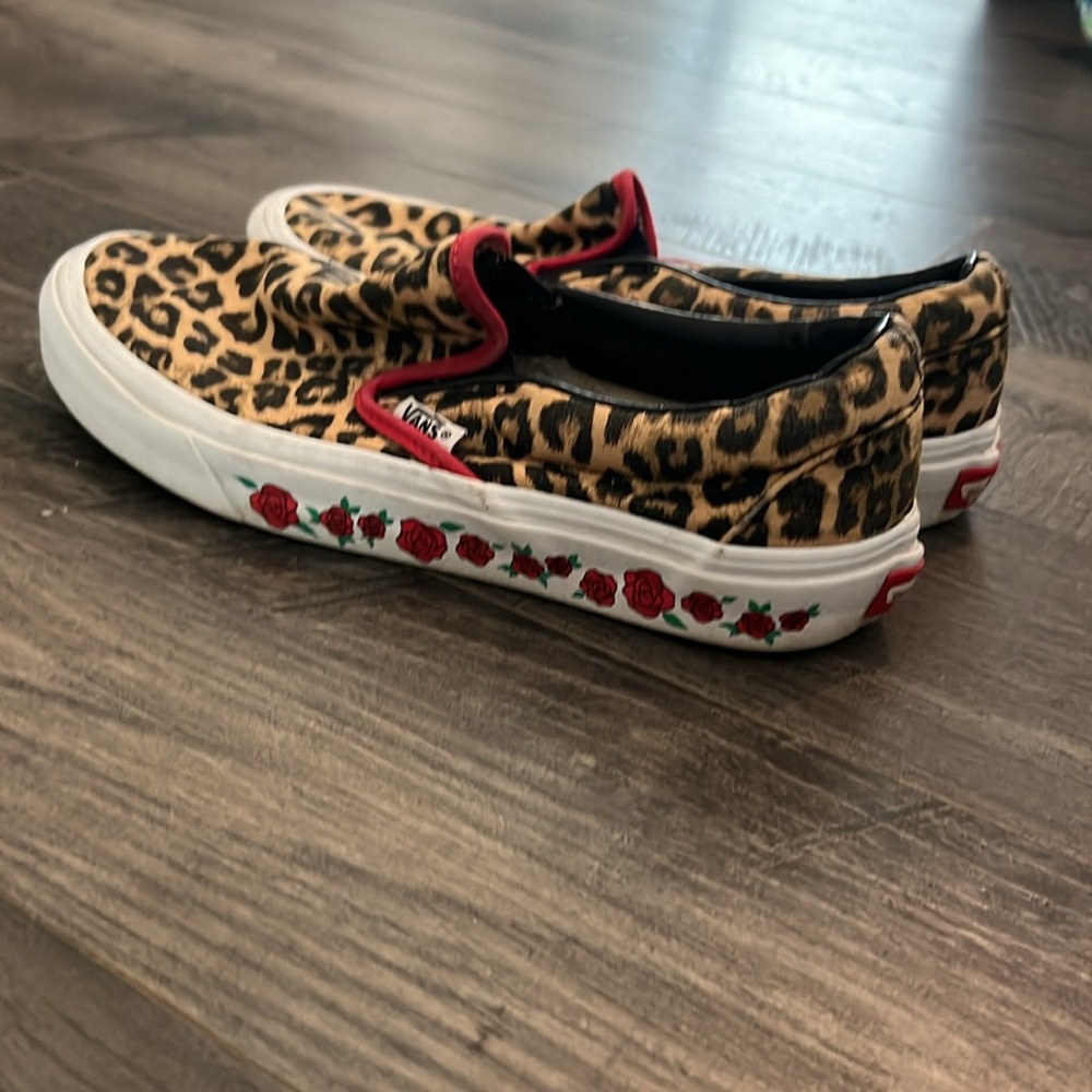 Custom Vans - Picture 2 of 7